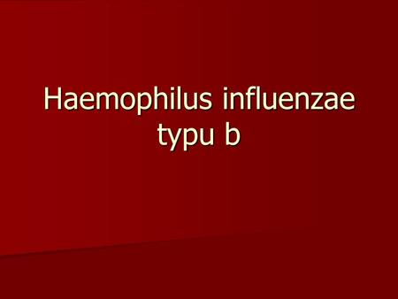 Haemophilus influenzae typu b