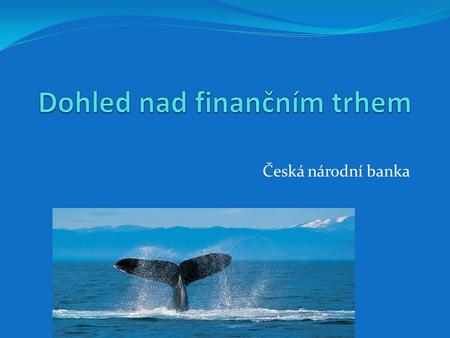 Česká národní banka Česká národní banka je podle zákona č. 6/1993 Sb., o České národní bance (pdf, 190 kB) zodpovědná za dohled nad finančním trhem v.