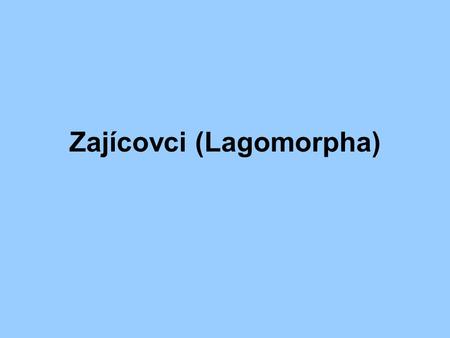 Zajícovci (Lagomorpha)