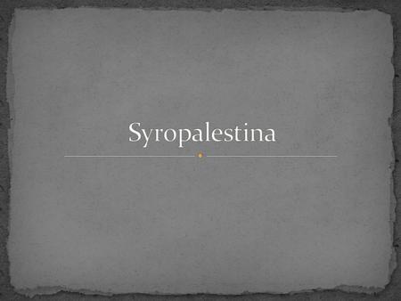 Syropalestina.