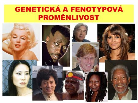 GENETICKÁ A FENOTYPOVÁ