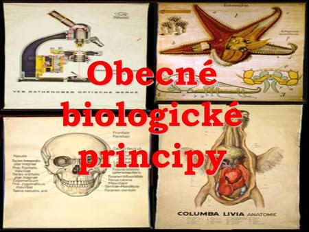 Obecné biologické principy