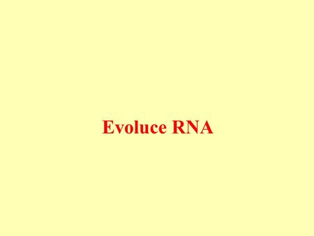 Evoluce RNA. Funkční specializace dnes: nukleové kyseliny uchovávají genet. informaci bílkoviny mají strukturní a katalytickou fci.
