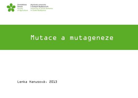 Mutace a mutageneze FOTO Lenka Hanusová, 2013.