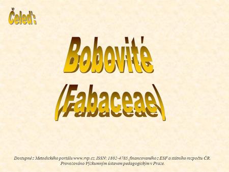 Bobovité (Fabaceae) Čeleď: