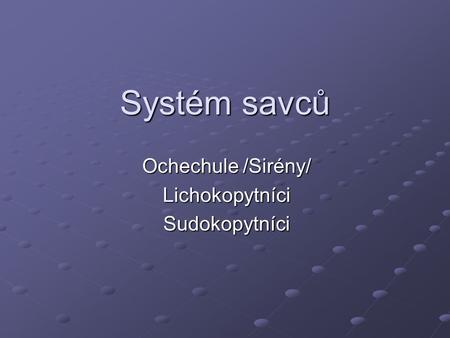 Ochechule /Sirény/ Lichokopytníci Sudokopytníci