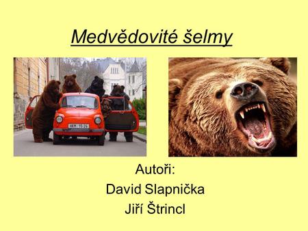 Autoři: David Slapnička Jiří Štrincl
