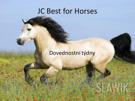 JC Best for Horses Dovednostní týdny. O co tu jde? Zvyšování dovedností Vašich koní (vyšší šance na vítězství v soutěžích, kvalitnější potomstvo) Tím.