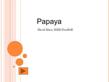 Papaya David Matz, KMD FreeDeK. Odborný název Lidový název Obrázek rostliny Obrázek plodu Země původu Chuť Barva Velikost Využití Zajímavosti.
