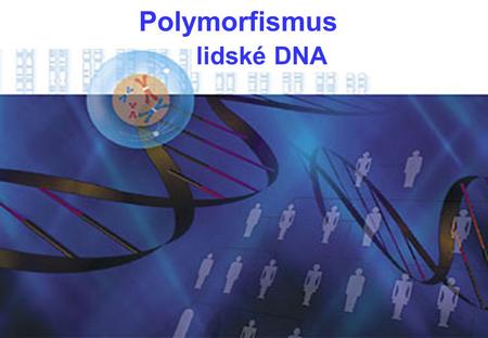 Polymorfismus lidské DNA.