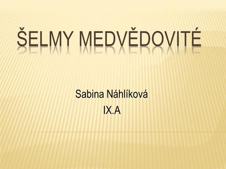 Šelmy medvědovité Sabina Náhlíková IX.A.