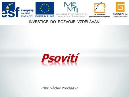 Psovití RNDr. Václav Procházka.