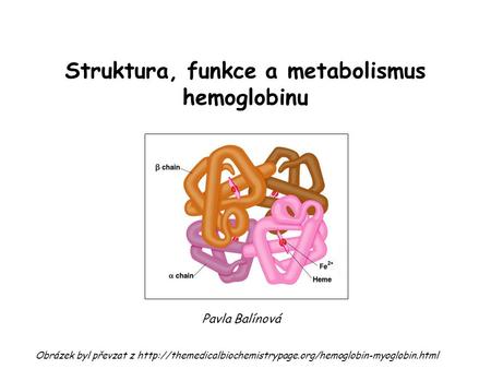 Struktura, funkce a metabolismus hemoglobinu