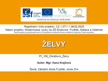 ŽELVY Registrační číslo projektu: CZ.1.07/1.1.38/02.0025 Název projektu: Modernizace výuky na ZŠ Slušovice, Fryšták, Kašava a Velehrad Tento projekt je.