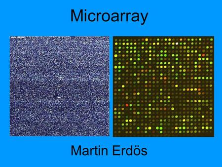 Microarray Martin Erdös.