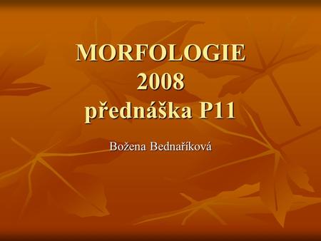 MORFOLOGIE 2008 přednáška P11