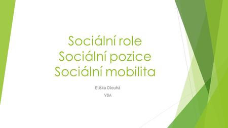 Sociální role Sociální pozice Sociální mobilita