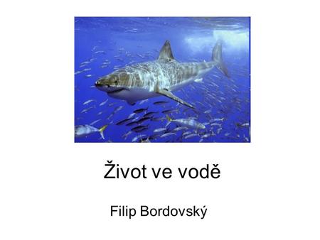 Život ve vodě Filip Bordovský.