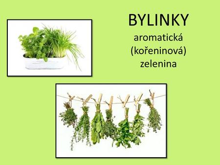 BYLINKY aromatická (kořeninová) zelenina