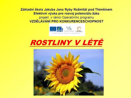 ROSTLINY V LÉTĚ Základní škola Jakuba Jana Ryby Rožmitál pod Třemšínem