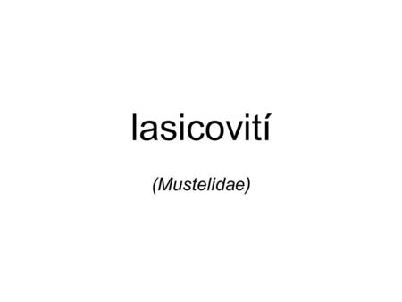 Lasicovití (Mustelidae).