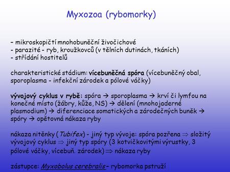 Myxozoa (rybomorky) – mikroskopičtí mnohobuněční živočichové