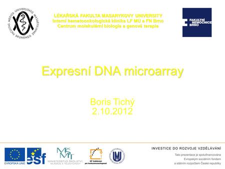 Expresní DNA microarray