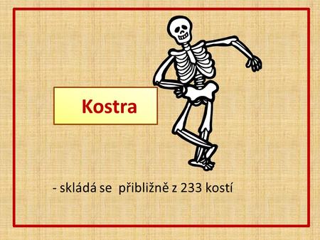 Kostra - skládá se přibližně z 233 kostí.