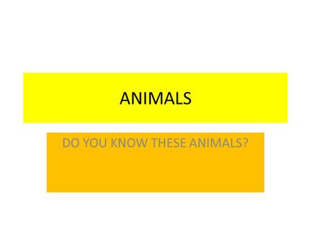 ANIMALS DO YOU KNOW THESE ANIMALS?.  ZÁKLADNÍ ŠKOLA SLOVAN, KROMĚŘÍŽ, PŘÍSPĚVKOVÁ ORGANIZACE  ZEYEROVA 3354, 767 01 KROMĚŘÍŽ  projekt v rámci vzdělávacího.