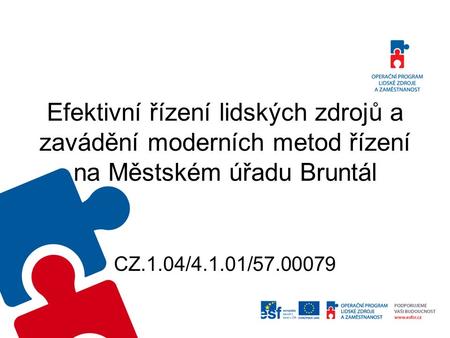 Efektivní řízení lidských zdrojů a zavádění moderních metod řízení na Městském úřadu Bruntál CZ.1.04/4.1.01/57.00079.