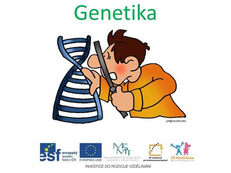 Genetika. Genetika – nauka o dědičnosti a proměnlivosti.