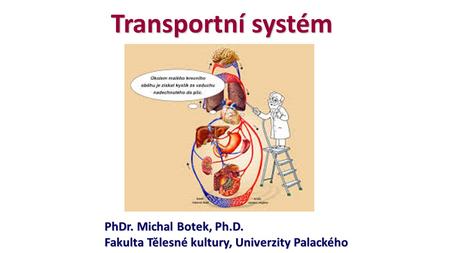 Transportní systém PhDr. Michal Botek, Ph.D. Fakulta Tělesné kultury, Univerzity Palackého.