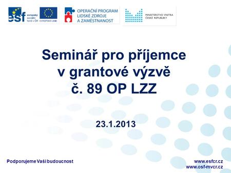 Seminář pro příjemce v grantové výzvě č. 89 OP LZZ 23.1.2013 Podporujeme Vaši budoucnostwww.esfcr.cz