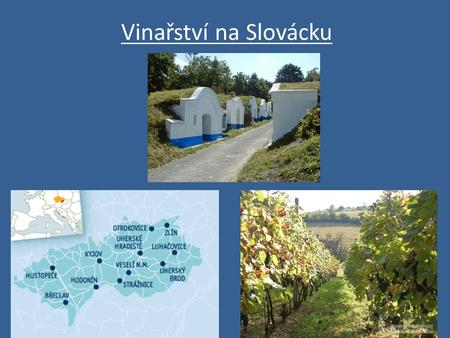 Vinařství na Slovácku. Slovácko se dá charakterizovat jako kraj vinic a vína.Téměř u každé vesnice je nějaká vinece nebo vinné sklepy.Na Moravě ze 4 podoblastí.