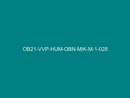 OB21-VVP-HUM-OBN-MIK-M-1-028. R o d i n n é p r á v o Mgr. Marie Mikulcová.