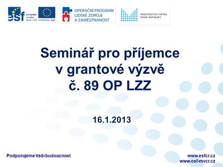Seminář pro příjemce v grantové výzvě č. 89 OP LZZ 16.1.2013 Podporujeme Vaši budoucnostwww.esfcr.cz