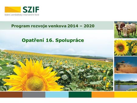 Program rozvoje venkova 2014 – 2020 Opatření 16. Spolupráce.