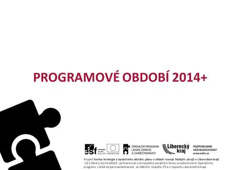 PROGRAMOVÉ OBDOBÍ 2014+ Projekt Tvorba Strategie a Společného akčního plánu v oblasti rozvoje lidských zdrojů v Libereckém kraji I CZ.1.04/4.1.01/C4.00015.