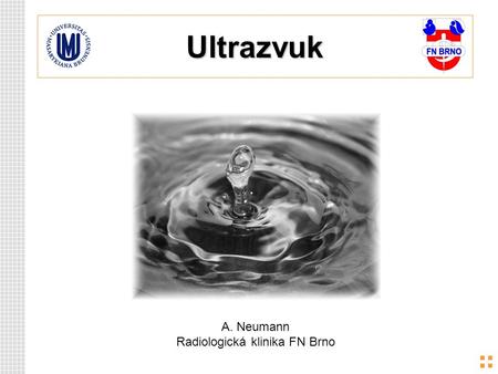 Ultrazvuk A. Neumann Radiologická klinika FN Brno.