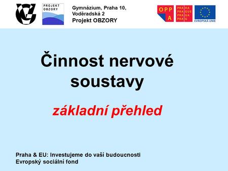 Praha & EU: Investujeme do vaší budoucnosti Evropský sociální fond Gymnázium, Praha 10, Voděradská 2 Projekt OBZORY Činnost nervové soustavy základní přehled.