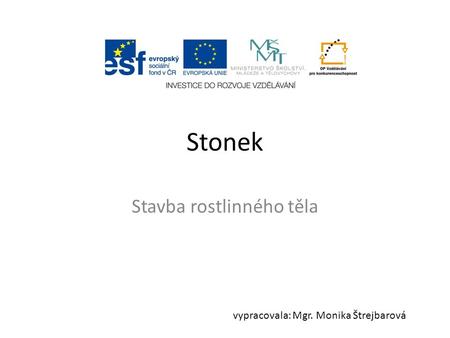 Stonek Stavba rostlinného těla vypracovala: Mgr. Monika Štrejbarová.