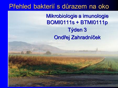 Přehled bakterií s důrazem na oko Mikrobiologie a imunologie BOMI0111s + BTMI0111p Týden 3 Ondřej Zahradníček.
