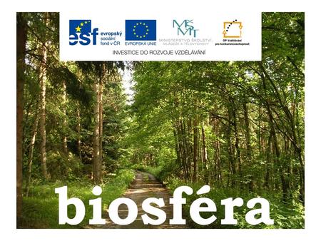 Biosféra. obsah  úvod  životní podmínky  vlivy působící na životní podmínky  závislost přírodních krajin na podnebí  kontrolní otázky.