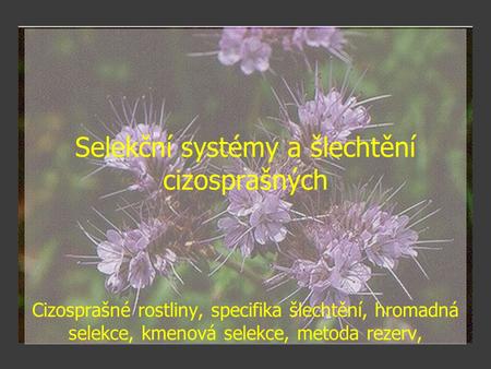 Selekční systémy a šlechtění cizosprašných Cizosprašné rostliny, specifika šlechtění, hromadná selekce, kmenová selekce, metoda rezerv,