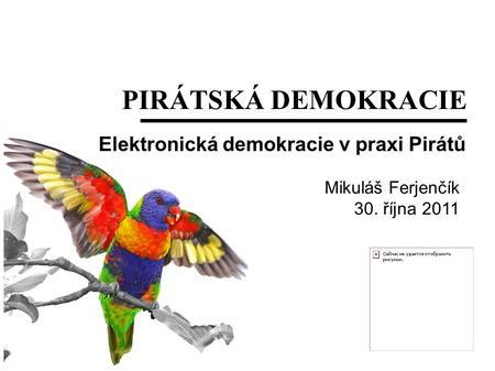 PIRÁTSKÁ DEMOKRACIE Elektronická demokracie v praxi Pirátů Mikuláš Ferjenčík 30. října 2011.