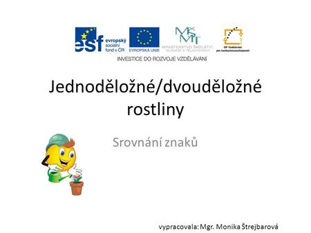 Jednoděložné/dvouděložné rostliny Srovnání znaků vypracovala: Mgr. Monika Štrejbarová.