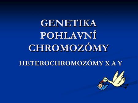 GENETIKA POHLAVNÍ CHROMOZÓMY HETEROCHROMOZÓMY X A Y.