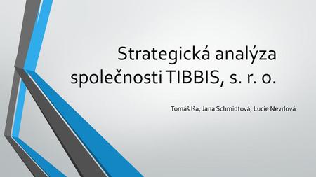 Strategická analýza společnosti TIBBIS, s. r. o.