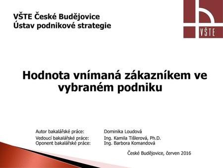 VŠTE České Budějovice Ústav podnikové strategie