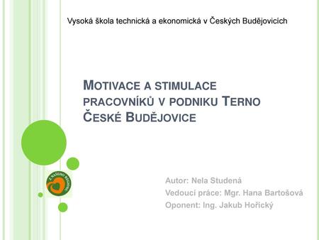 Motivace a stimulace pracovníků v podniku Terno České Budějovice